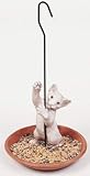 Kitten Hanging Bird Feeder