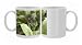 Photo Mugs of ROG-11970 Bat Flower / Tiger Whisker from Ardea Wildlife Pets