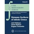 Riemann Surfaces of Infinite Genus