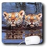 Wild animals - Tiger Cubs - Mouse Pads