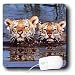 Wild animals - Tiger Cubs - Mouse Pads