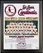 1964 St. Louis Cardinals World Series Champions 13