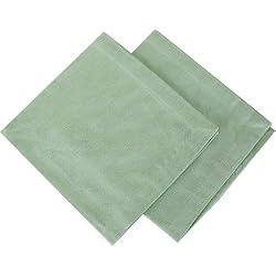 Fresh Aqua Lime Napkins