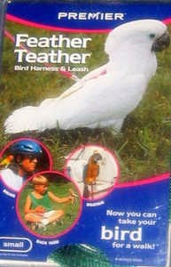 Feather Teather Bird Harness, Size: Petite, Color: Black