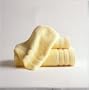 Martex Egyptian Bath Towel 2-Pk, Lemon Chiffon