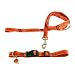 bengal13 - PET SETMED CIN BENGALS Medium