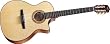 Taylor Guitars NS34-CE Grand Auditorium Acoustic Electric Classical Guitar