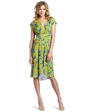 BCBGMAXAZRIA Women's Thia Pleated Waist Wrap Detail Dress