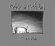 Nufonia Must Fall