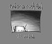 Nufonia Must Fall
