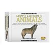 Eyewitness North American Animals Model Kit