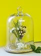 Large Glass Bell Jar Cloche Terrarium with Dried Sage Ceramic Base