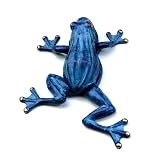 SPI 31131 Climbing Frog Doorknocker