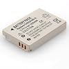 2 Brand New Replacement Batteries for Canon PowerShot SX200 IS