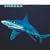 Sharks 2009 Calendar