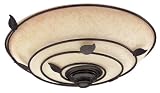 Hunter Exhaust Fan with light 82020 Organic Bathroom Fans Brittany Bronze CFM = 70, Sones = 2.5