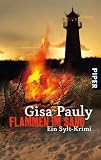 Flammen im Sand: Ein Sylt-Krimi - Gisa Pauly