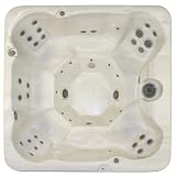 Mountain Mist Luna Seven Person Spa (Platinum)