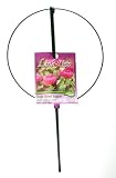 Luster Leaf 987 Large Single Peony Flower Support