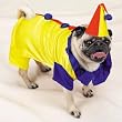 Dog Costume - Dog Clown Costume - X-Small (XS)
