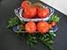 The Secrets of Growing Tomatoes (Hot Arid Areas)