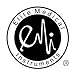 EMI Rn Registered Nurse Emblem Pin Caduceus