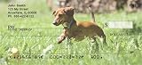 Playful Dachshunds Personal Checks