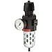 Dixon CB6-03AG Automatic Drain Wilkerson Compact Filter/Regulator with Transparent Bowl and Guard, 3/8" Size, 70 SCFM Flow, 150 psig Pressure