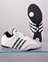 Adidas Adiluxe, Martial Arts shoes, Tae kwon Do (TKD) shoes