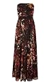 Blossom Print Maxi Dress