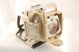 Replacement Lamp Module for BenQ PB8253 PB8263 Projectors (Includes Lamp and Housing)