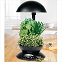 AeroGarden 900110-1200 Aerogarden 3 in Black with Gourmet Herb Seed Kit