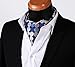 SetSense Men's Polka Dot Jacquard Woven Self Cravat Tie Ascot