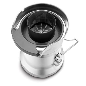 Breville Je98xl Fountain 850 Watt Juicing