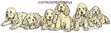 Cocker Spaniel - Puppies in a Row by Cindy Farmer, Buff