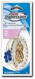 Air Freshener, Lady Guadalupe Dangler, Single Pack