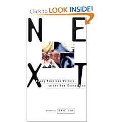 Next: Young American Writers on the New Generation