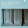 December Stillness