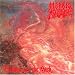 25 best Death Metal albums ever - in no particular order