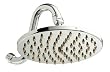 Pollenex Luxurious Pouring Rain Showerhead, Extra Large 8" Diameter