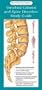 Vertebral Column and Spine Disorders Study Guide (Anatomical Chart Company's Illustrated Pocket Anatomy)