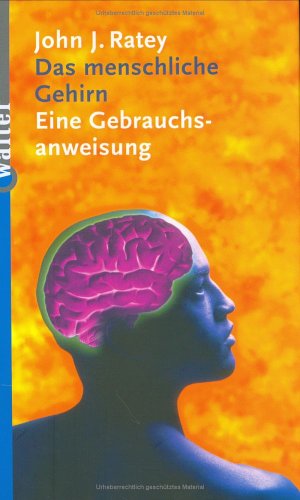 Das menschliche Gehirn