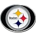 All Products : Pittsburgh Steelers - NFL Logo Belt Buckle