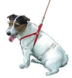 Coastal Pet Comfort Wrap Adjustable Step-In Dog Harness (Red, Small, 16-26 inch Girth)