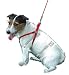 Coastal Pet Comfort Wrap Adjustable Step-In Dog Harness (Purple, Small, 16-26 Inch Girth)