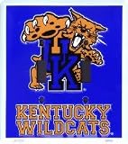 2 Kentucky Wildcats Double Light Switch Plates **