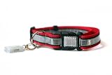 Illumidog Reflective Dog Collar / X-Light Combo: Red / Medium (14-20 inches)