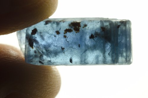 Fantasia Materials: 125 Carat Lot of Translucent Blue Sapphire with Kyanite Rough - Raw Natural Crystals for Cabbing, Cutting, Lapidary, Tumbling, Polishing, Wire Wrapping, Wicca & Reiki Healing