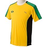 (プーマ)PUMA SS Tee 507813
