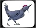 Mouse Pad with Texas, poultry, cock, chicken, bird, crowing